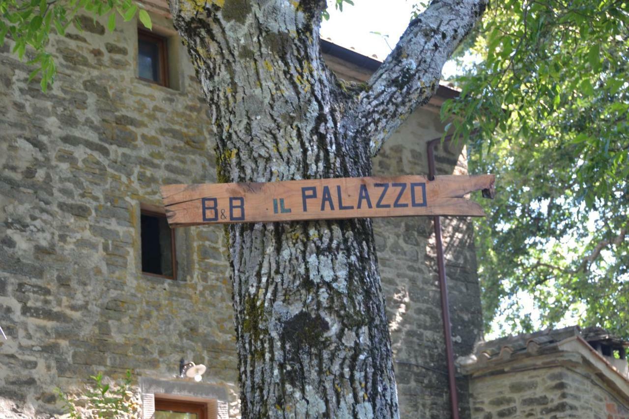 B&B Il Palazzo Sansepolcro Exteriör bild